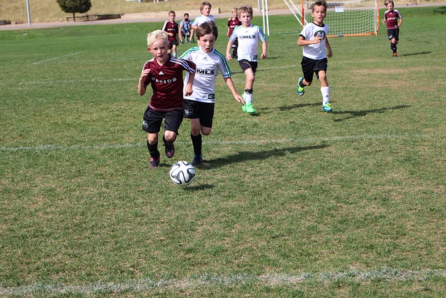 了他们在争 了他们在争