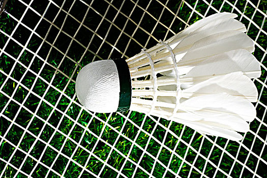 看的结果 看的结果